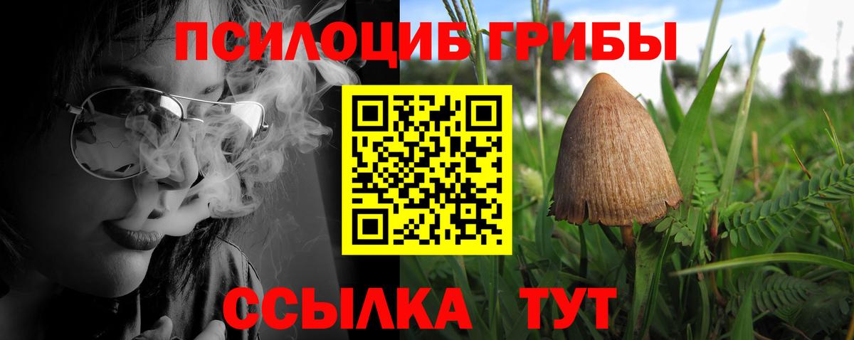 Псилоцибиновые грибы Cubensis  Вход с VPN  Великие Луки 